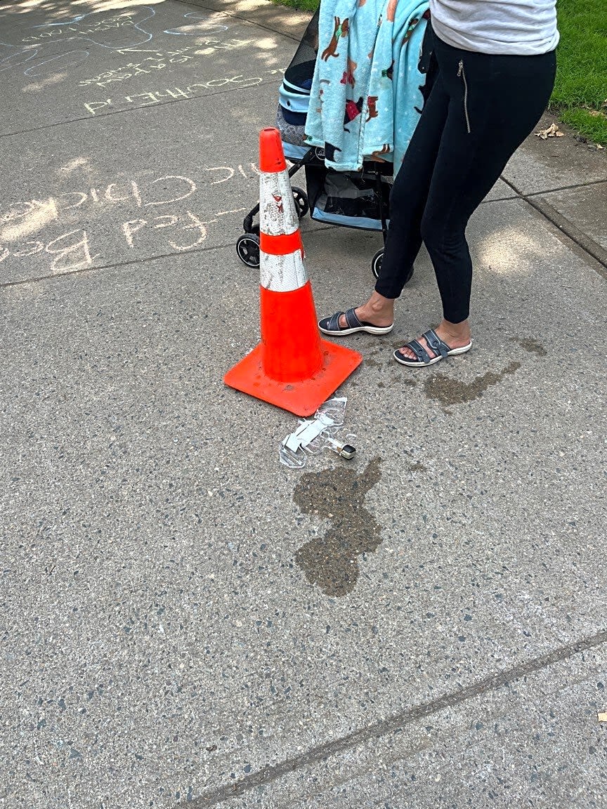 Image submitted with report