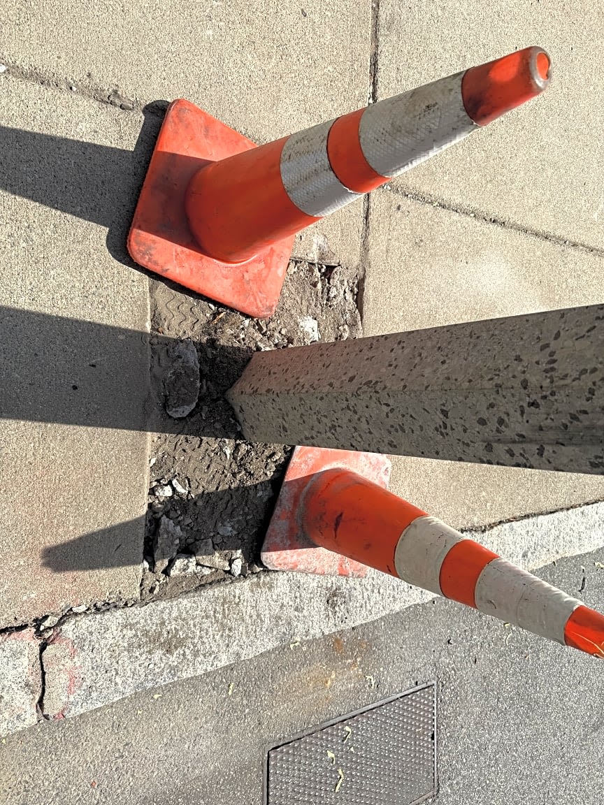 Image submitted with report