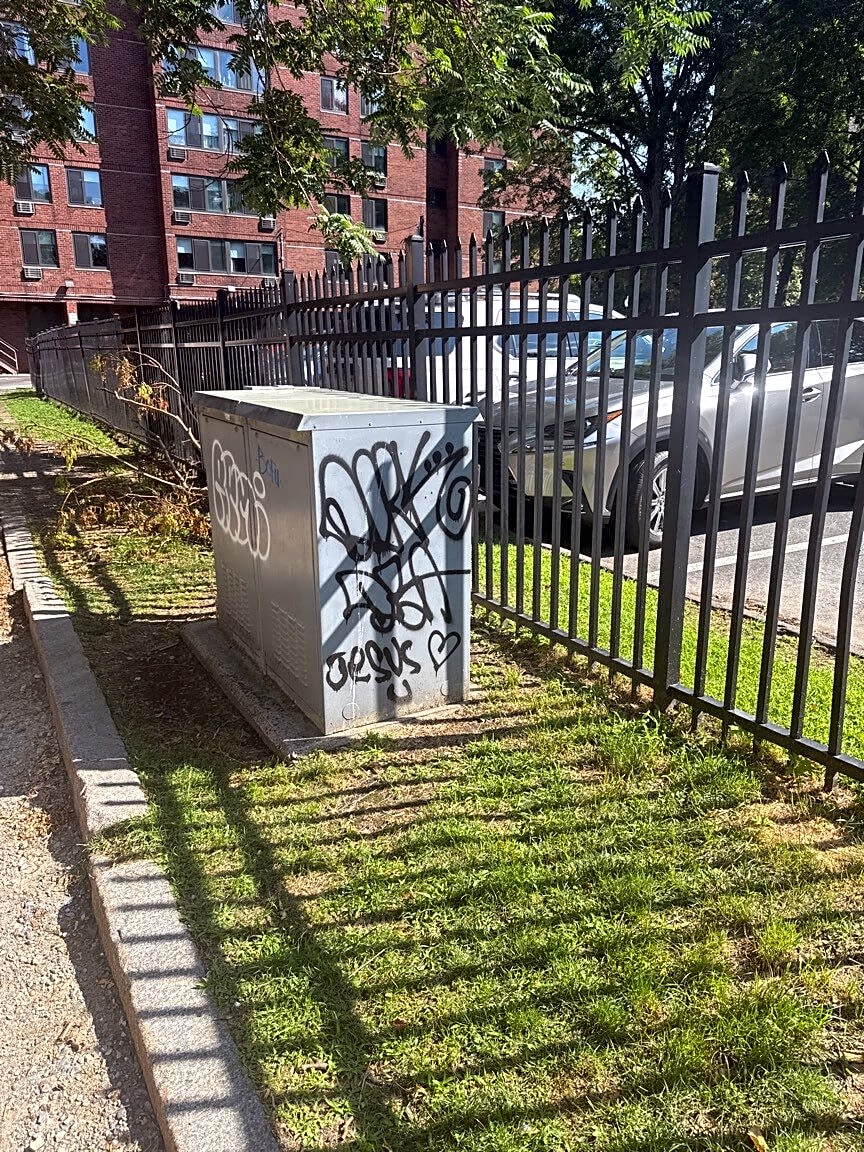 Image submitted with report