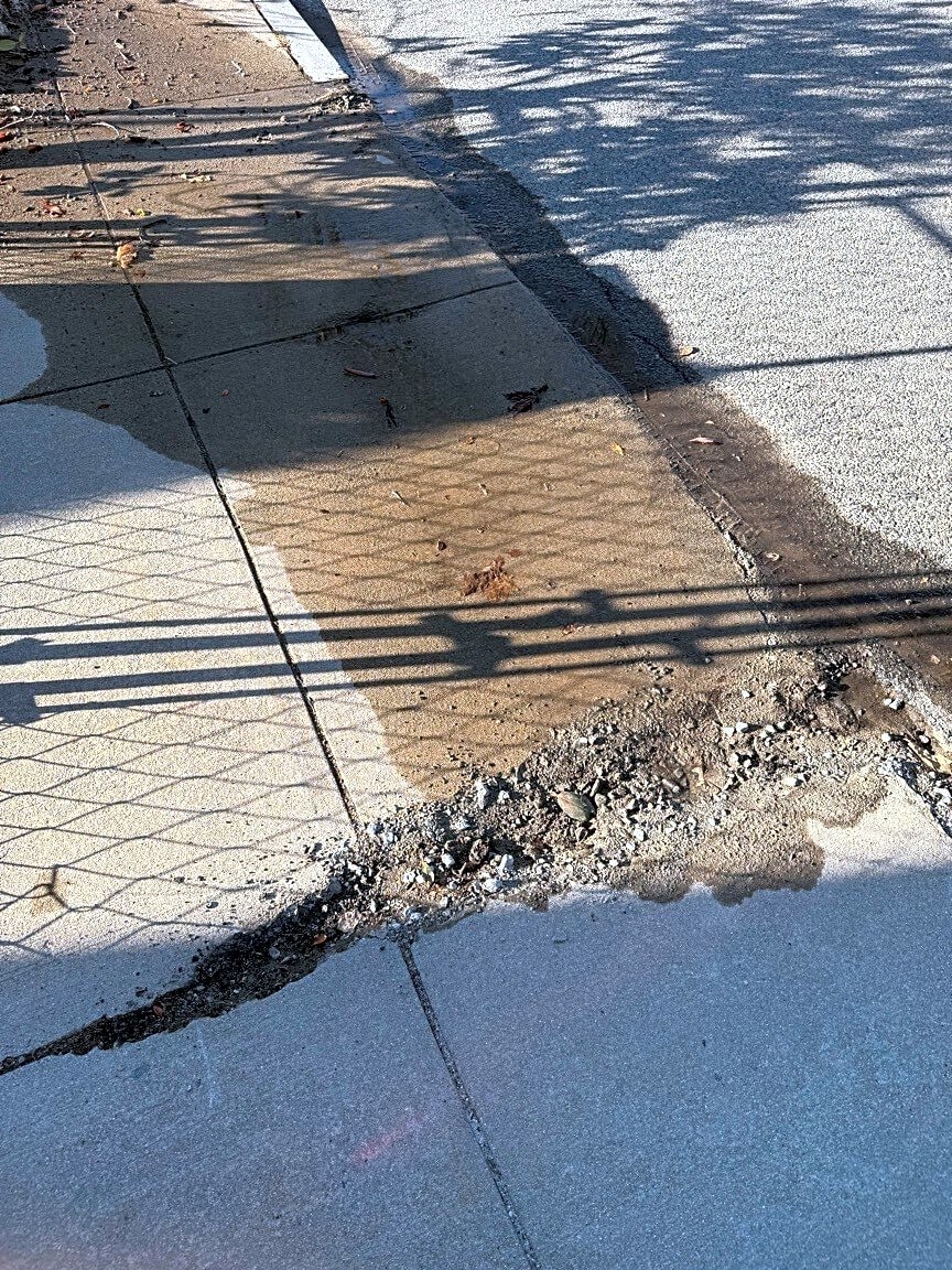 Image submitted with report