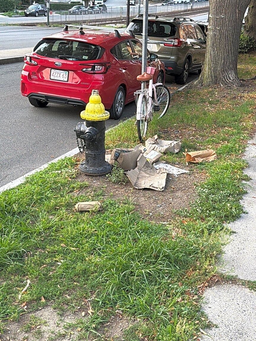 Image submitted with report