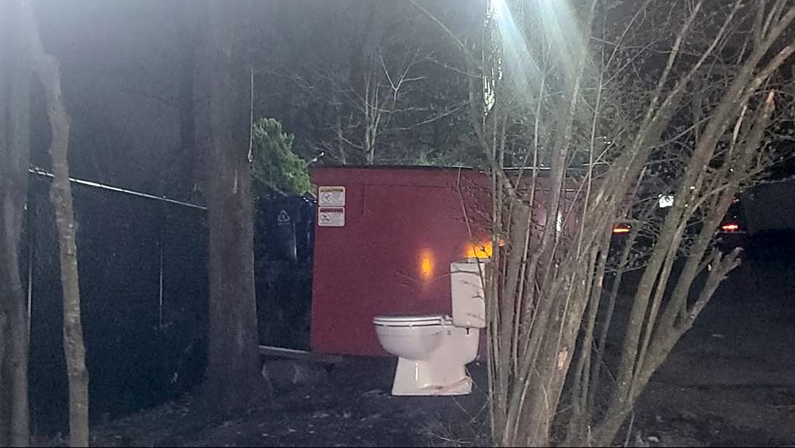 Image submitted with report