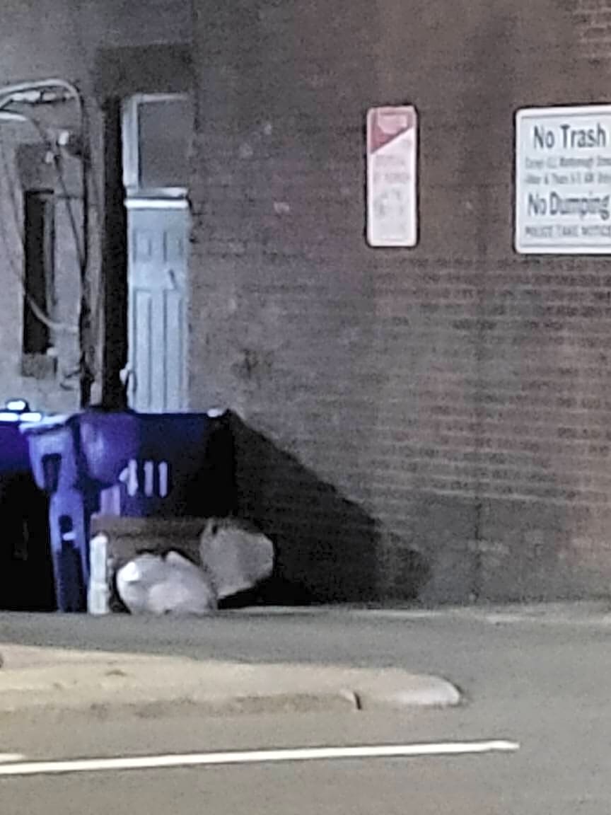 Image submitted with report