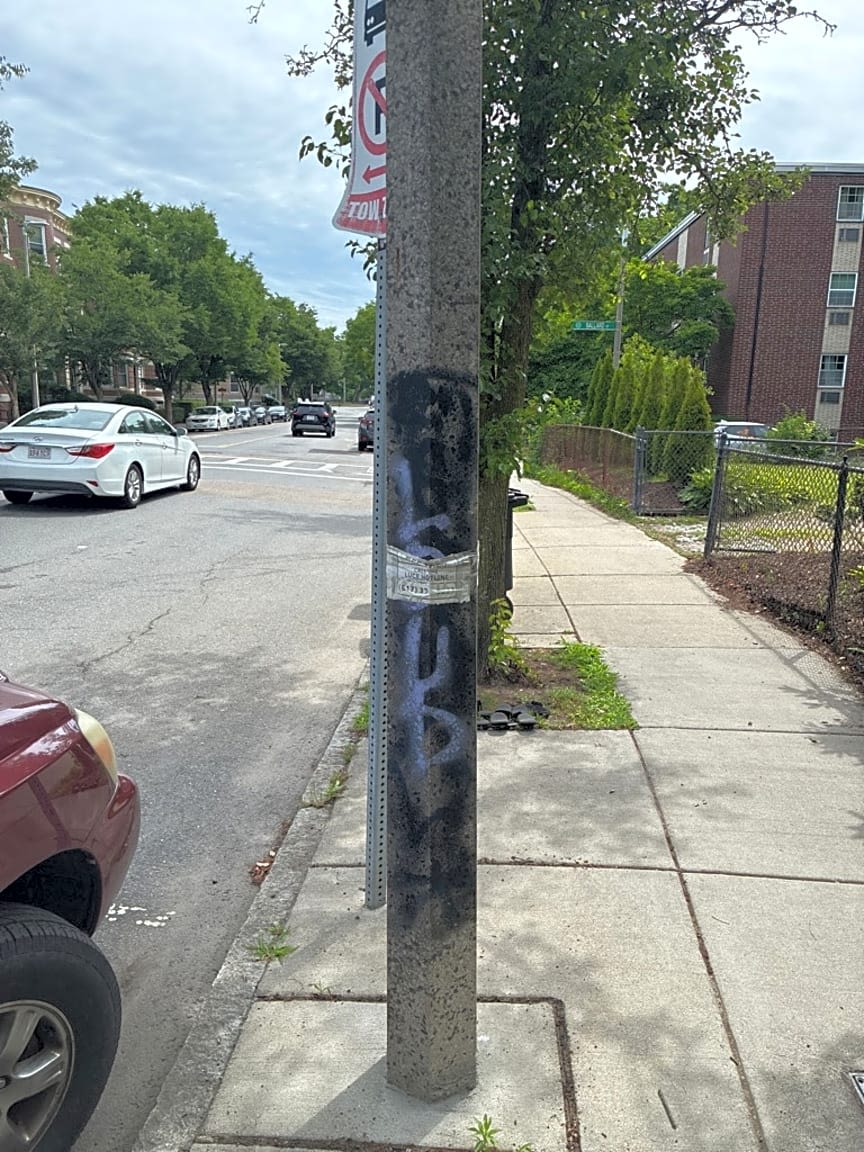 Image submitted with report