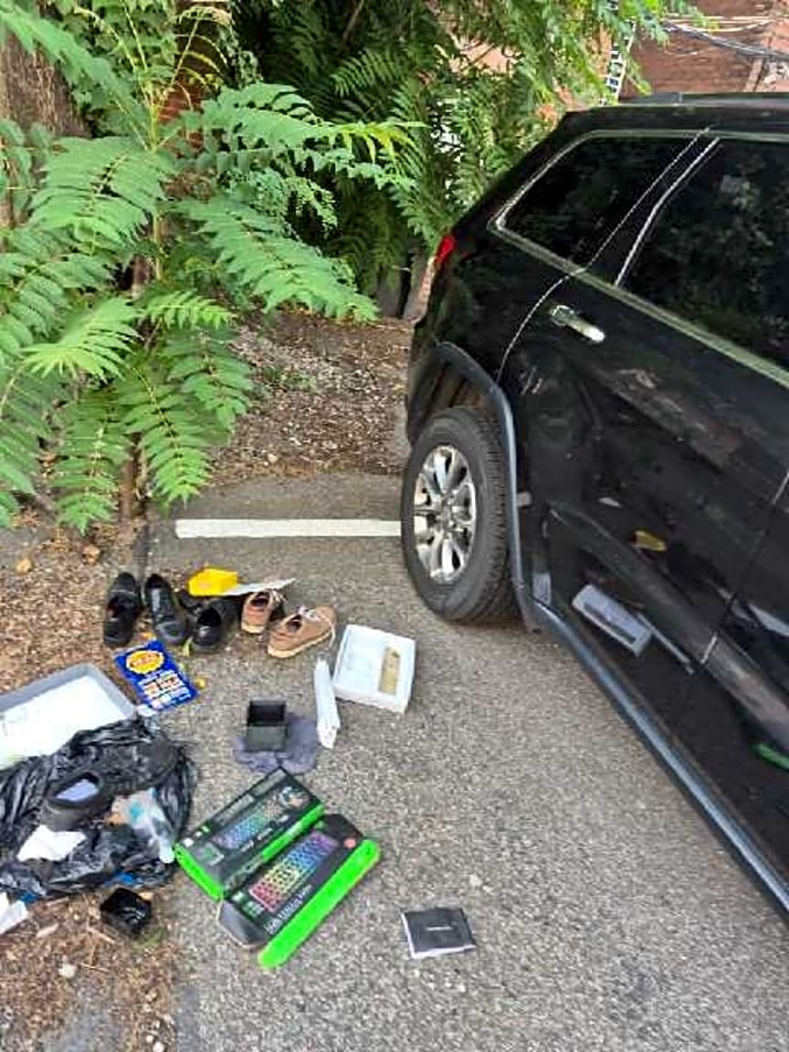 Image submitted with report