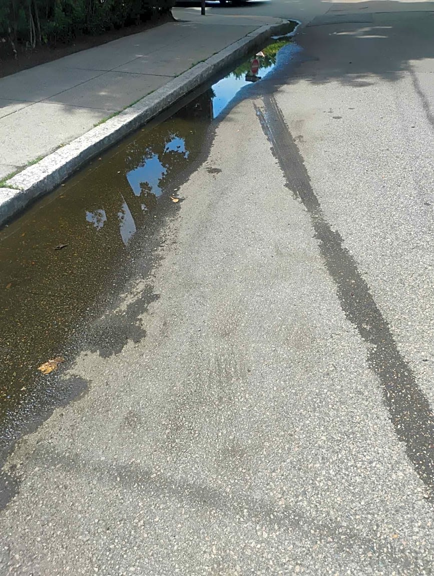 Image submitted with report