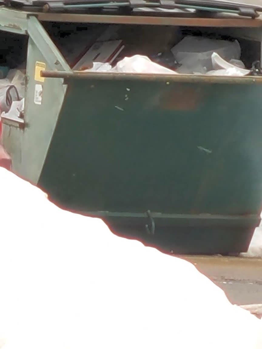 Image submitted with report