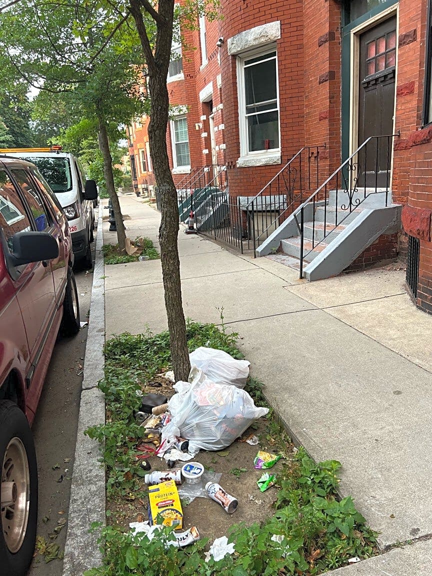 Image submitted with report