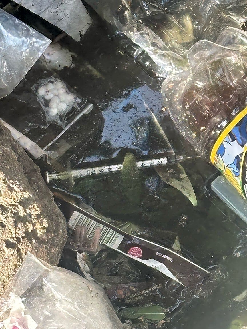 Image submitted with report