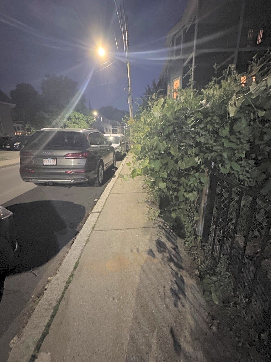 Image submitted with report