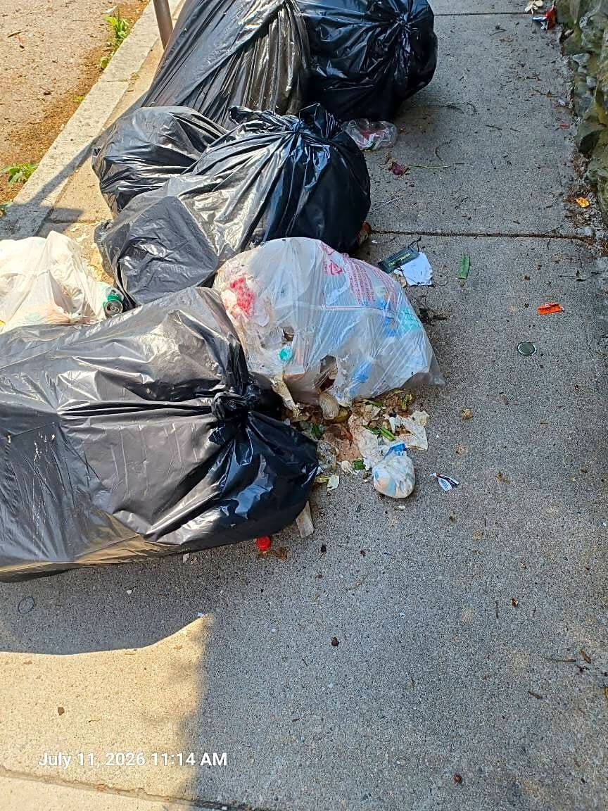 Image submitted with report