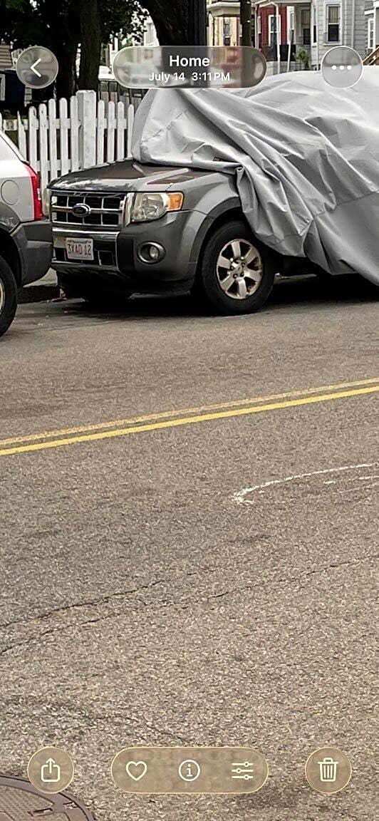 Image submitted with report