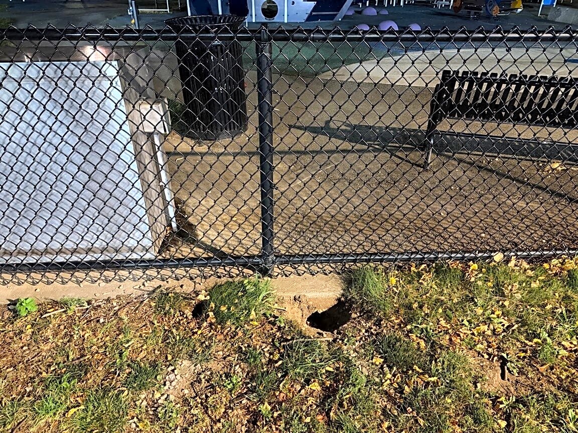 Image submitted with report