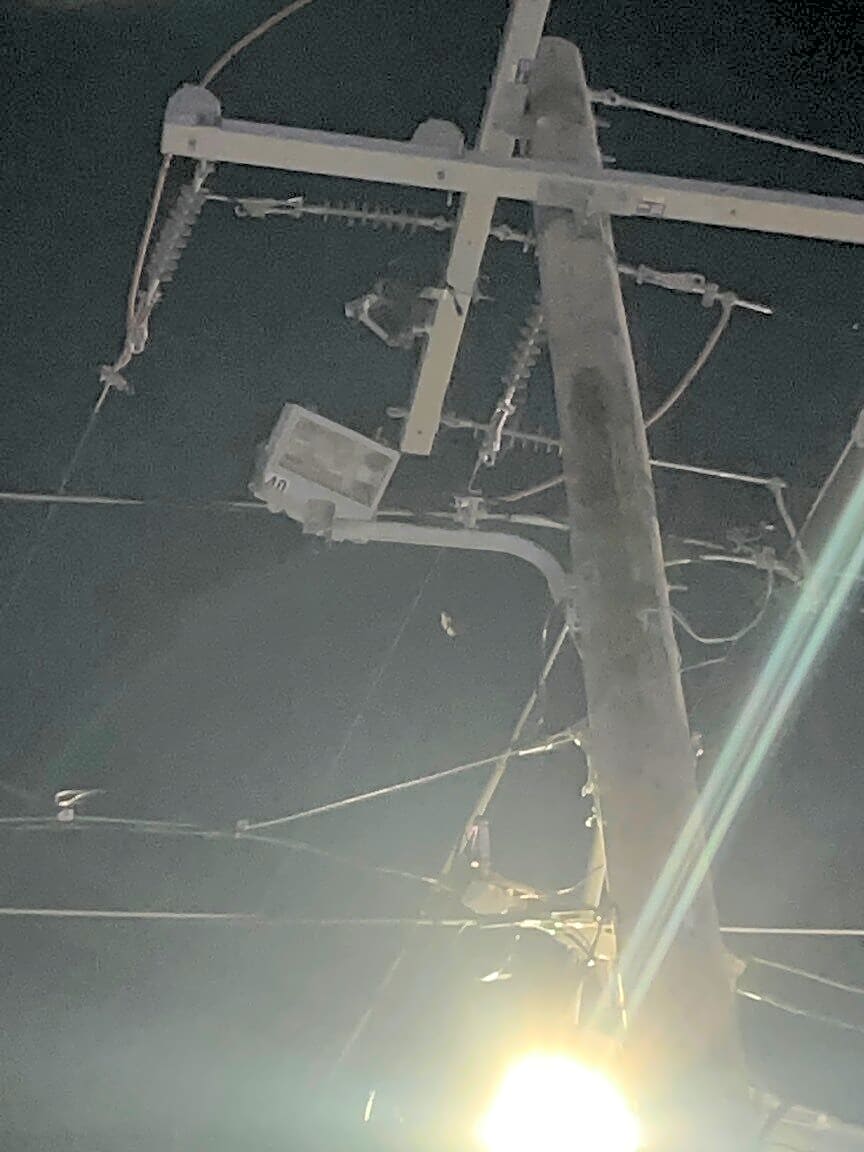 Image submitted with report