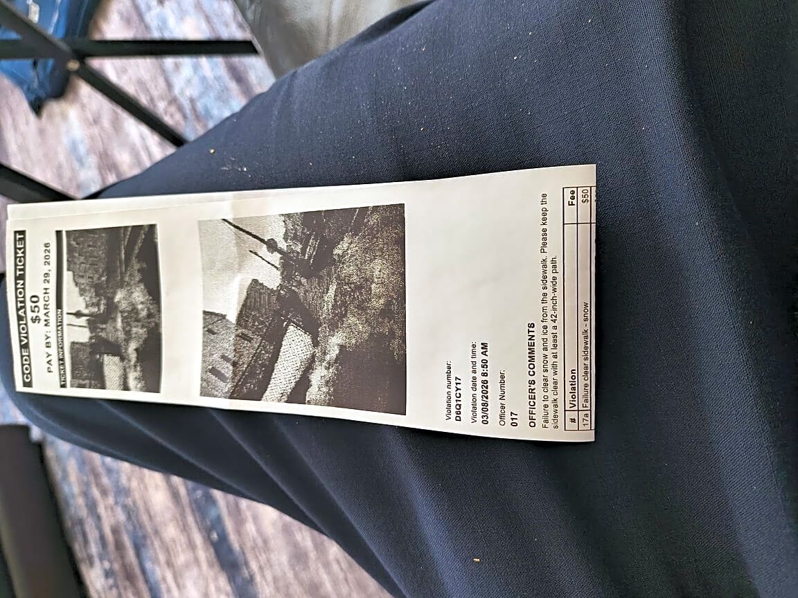 Image submitted with report