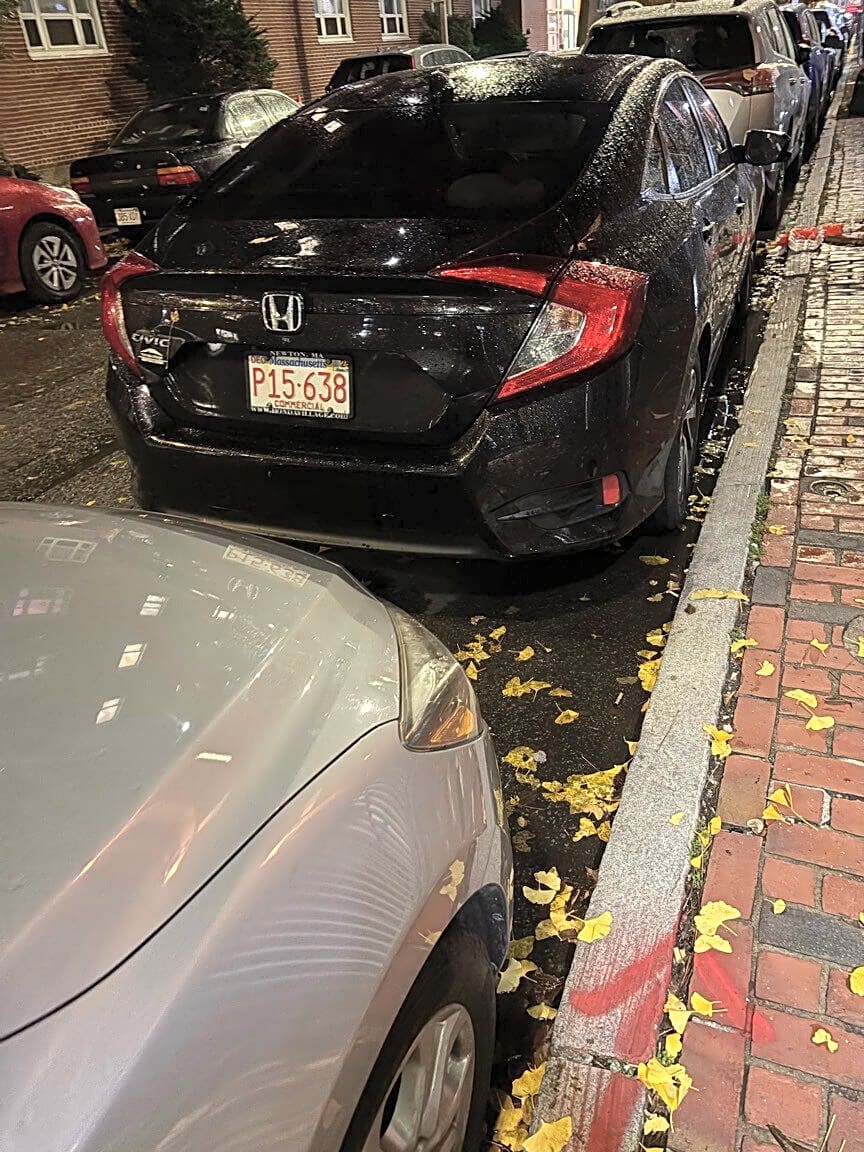 Image submitted with report