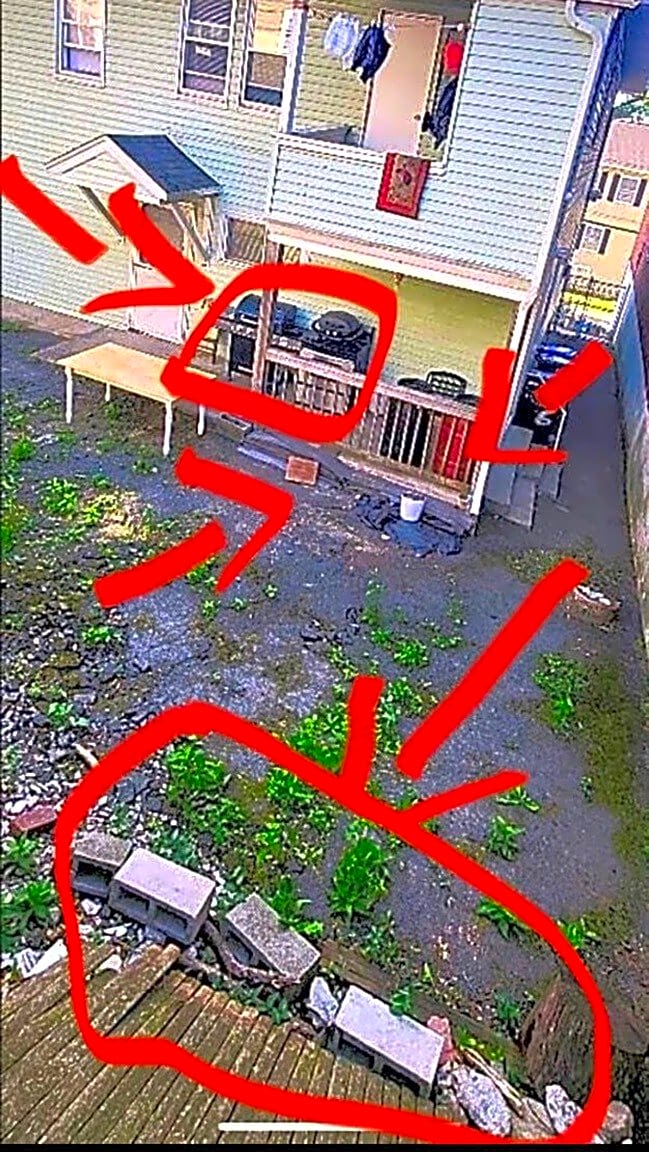 Image submitted with report