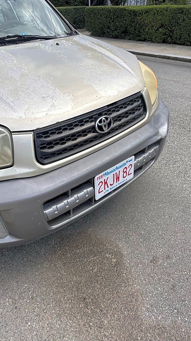 Image submitted with report