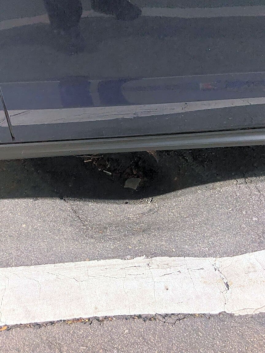 Image submitted with report