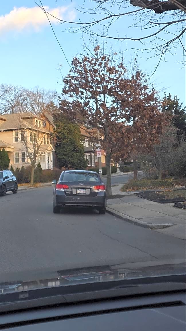 Image submitted with report