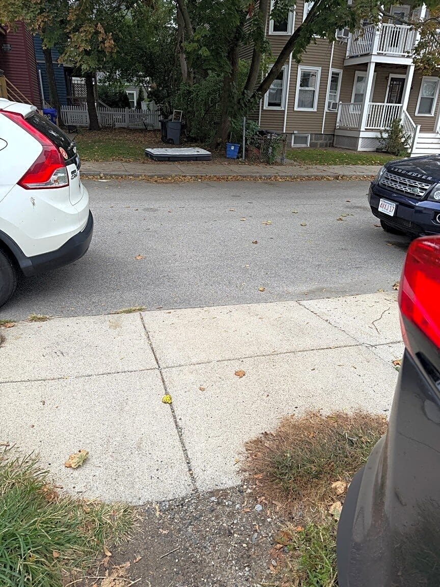 Image submitted with report