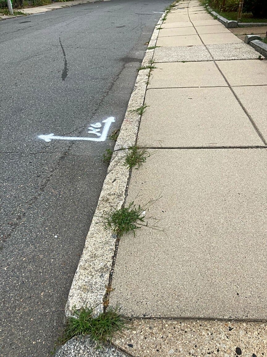 Image submitted with report