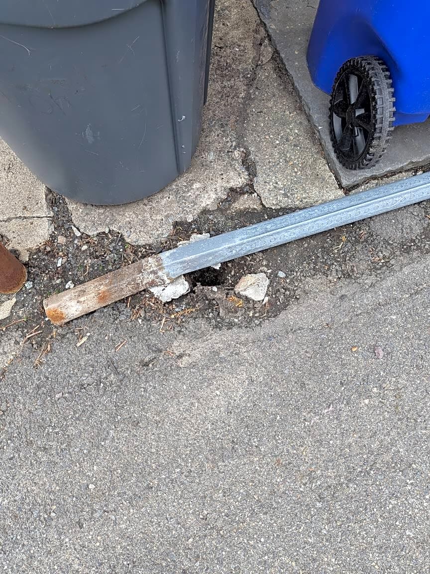 Image submitted with report