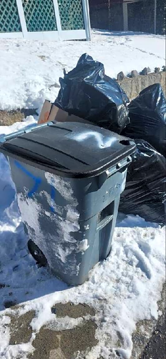 Image submitted with report