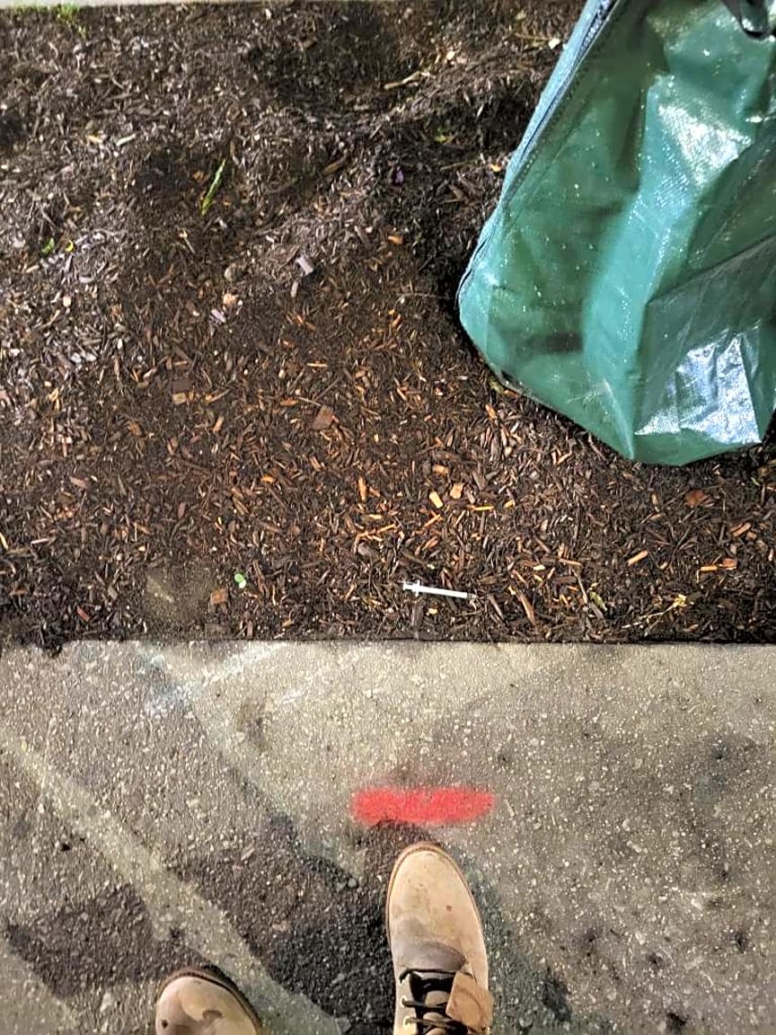 Image submitted with report
