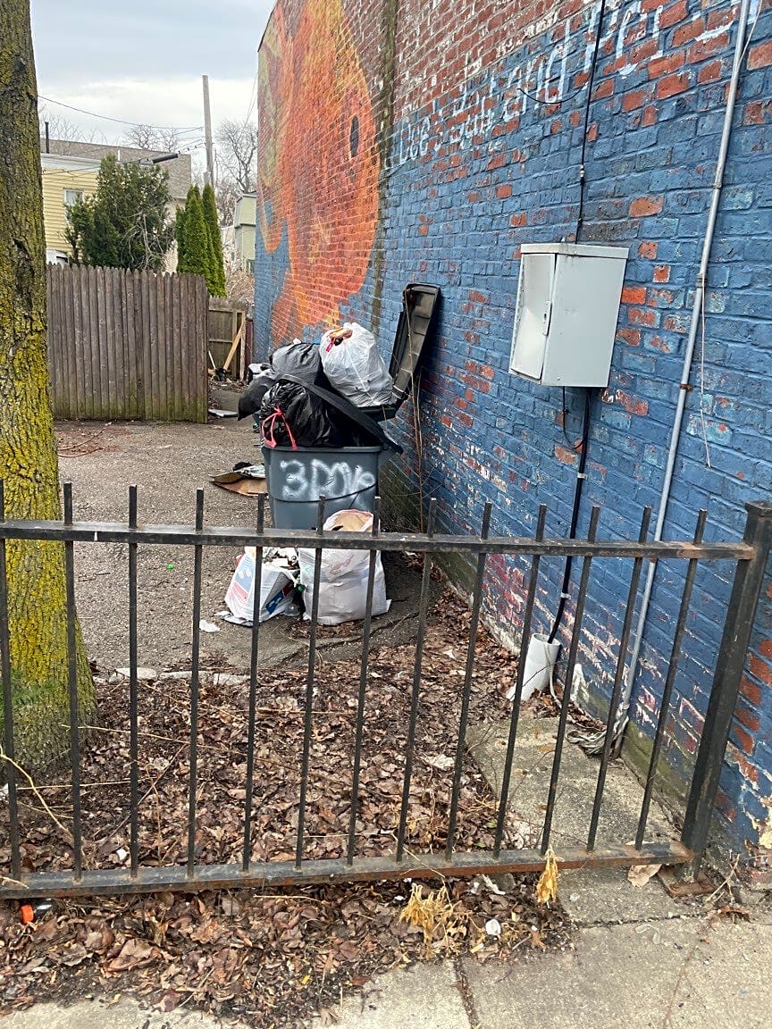 Image submitted with report