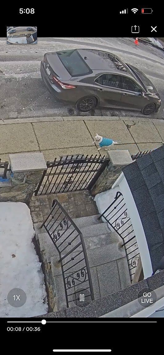 Image submitted with report