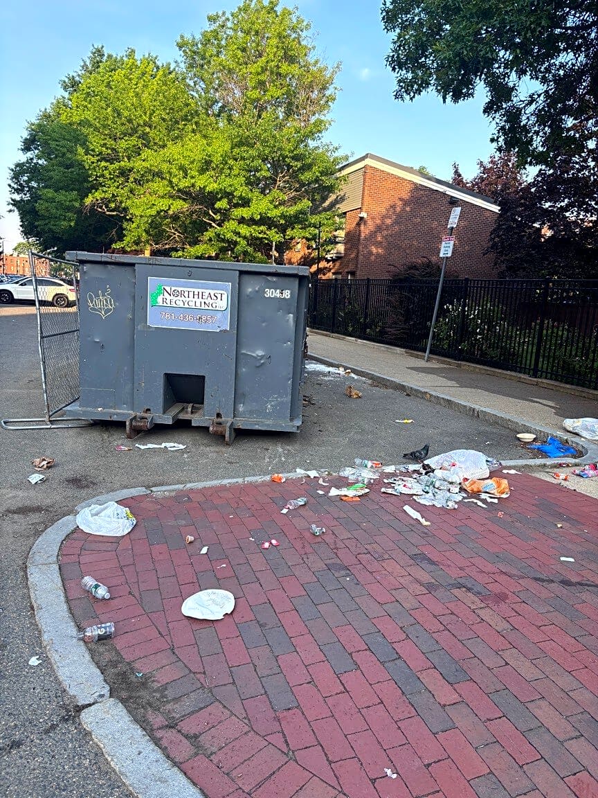 Image submitted with report