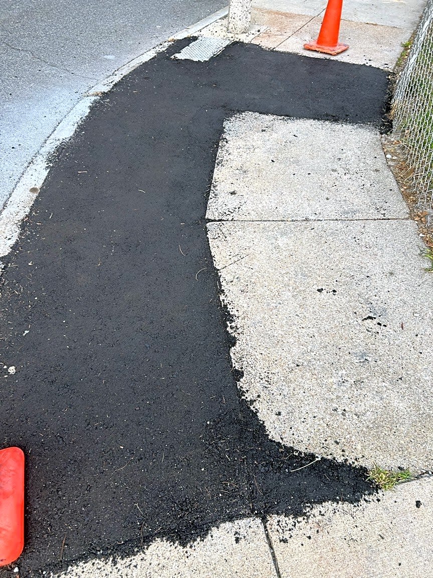 Image submitted with report
