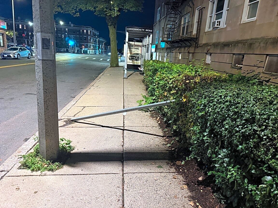 Image submitted with report