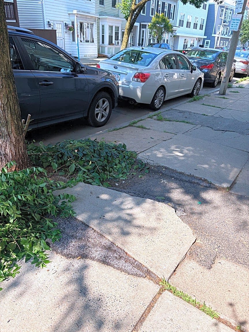 Image submitted with report