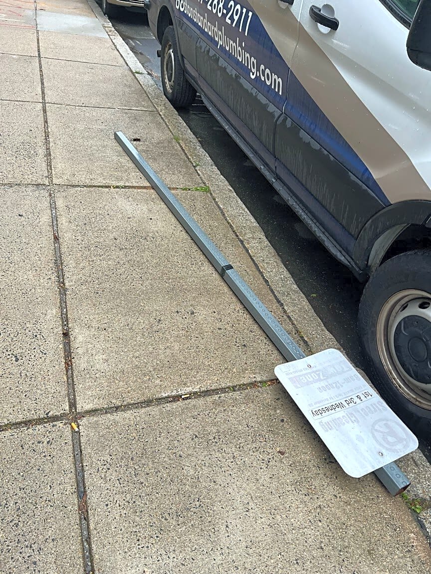 Image submitted with report