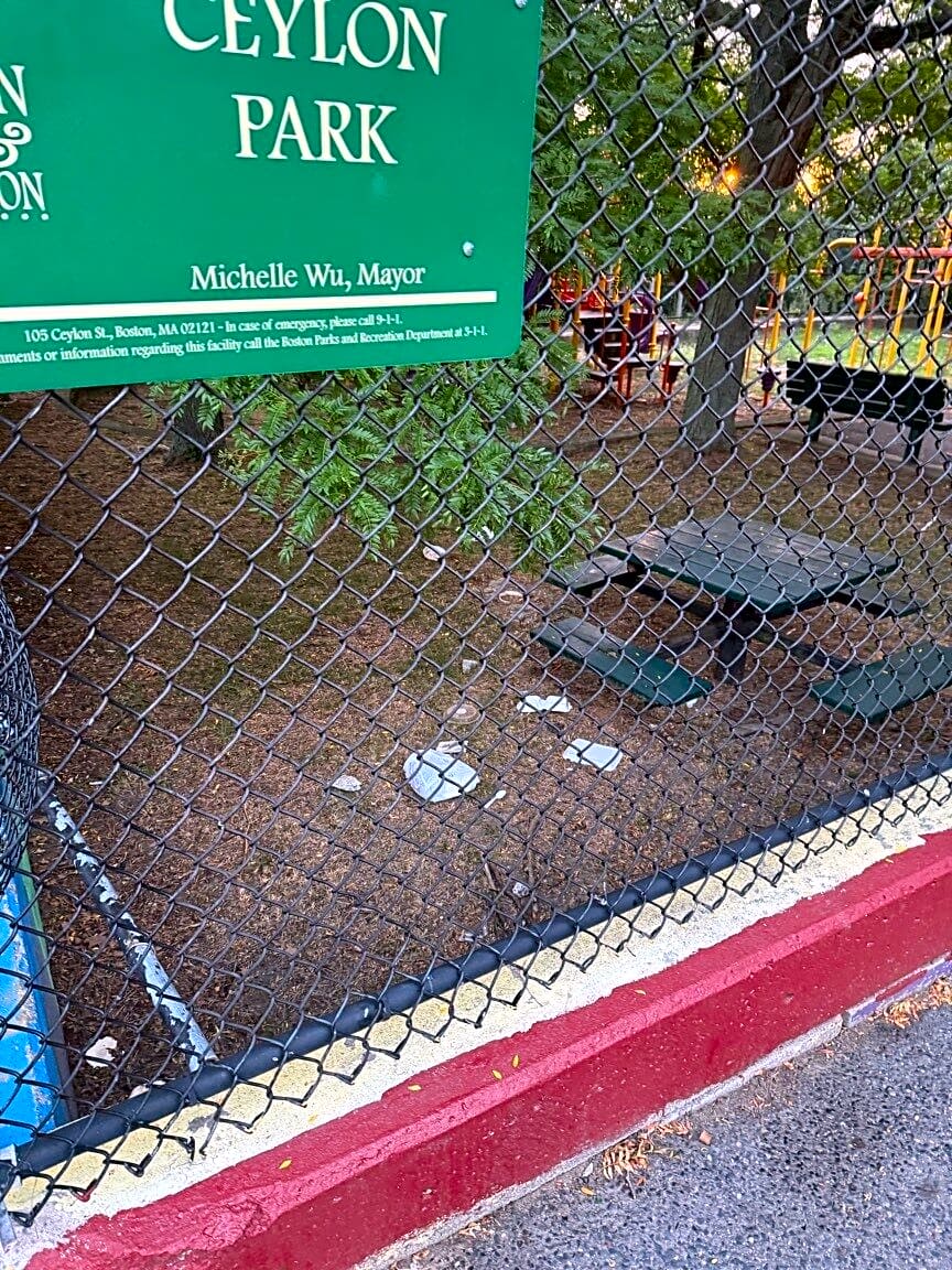 Image submitted with report