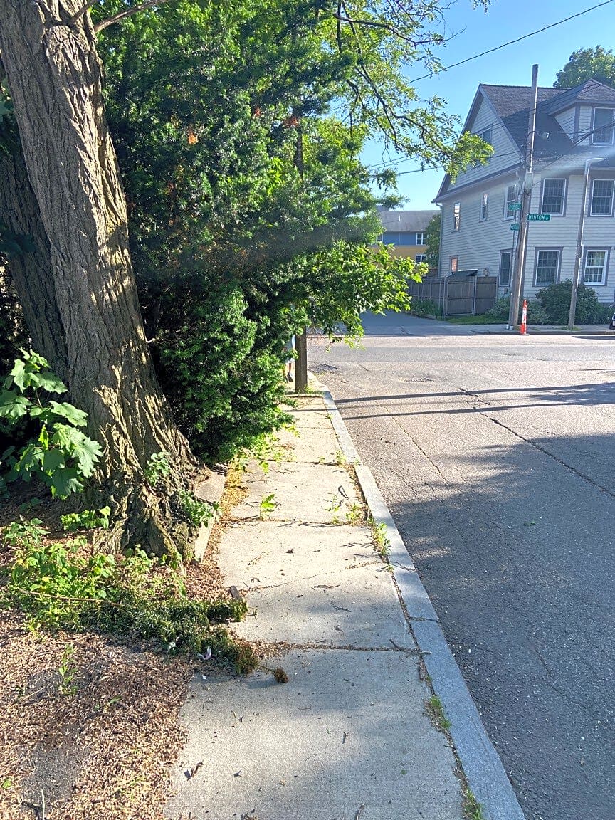 Image submitted with report