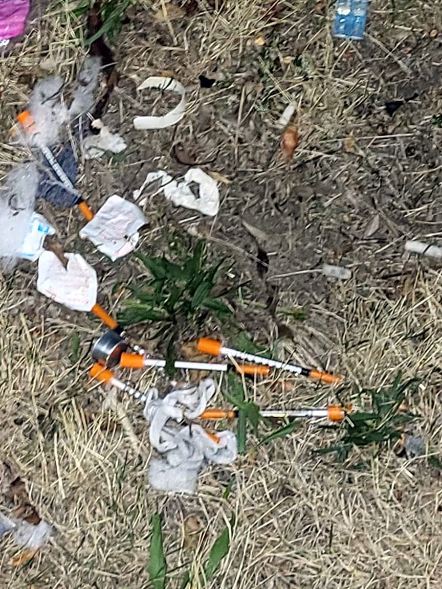 Image submitted with report