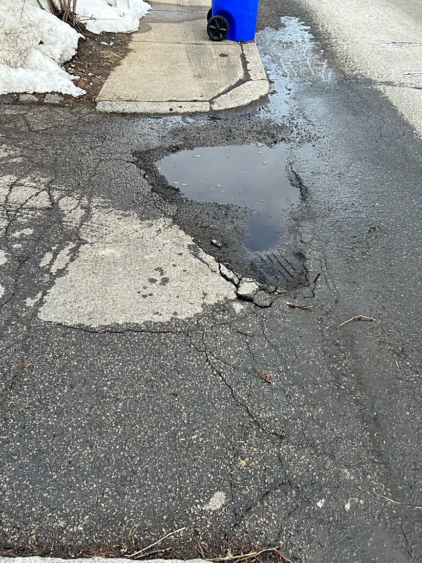 Image submitted with report