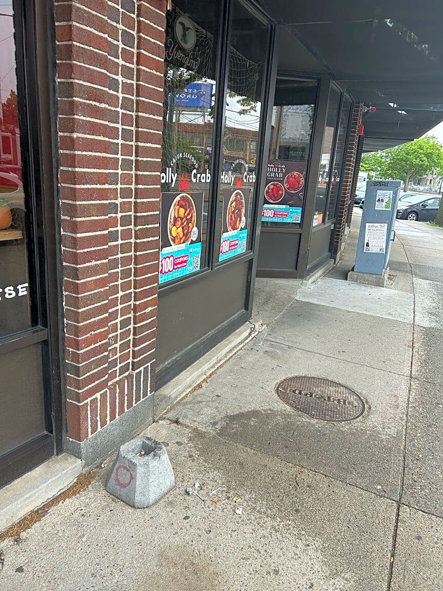 Image submitted with report