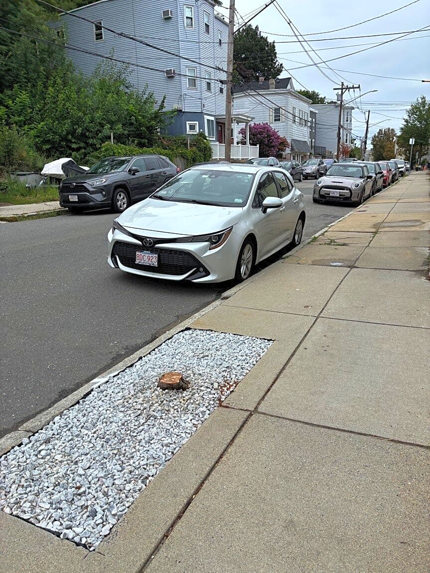 Image submitted with report