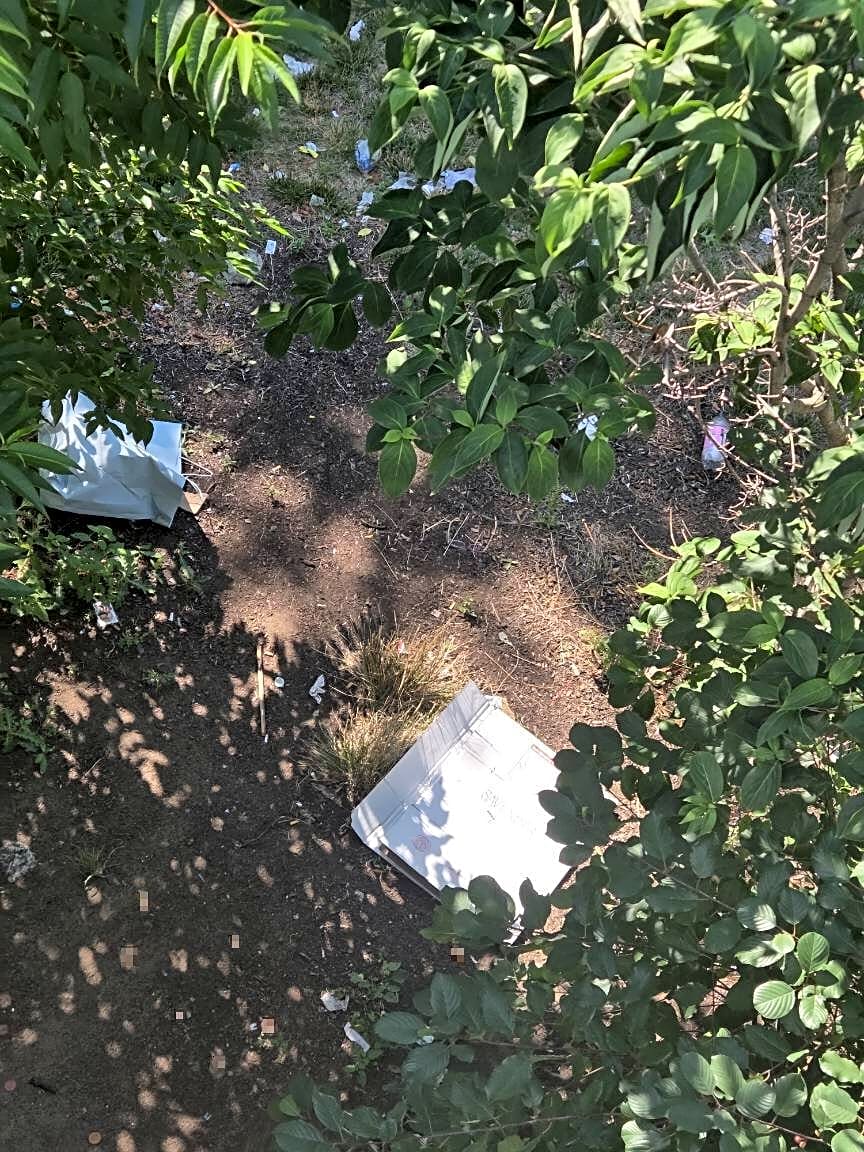 Image submitted with report