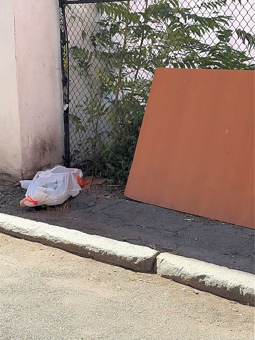 Image submitted with report