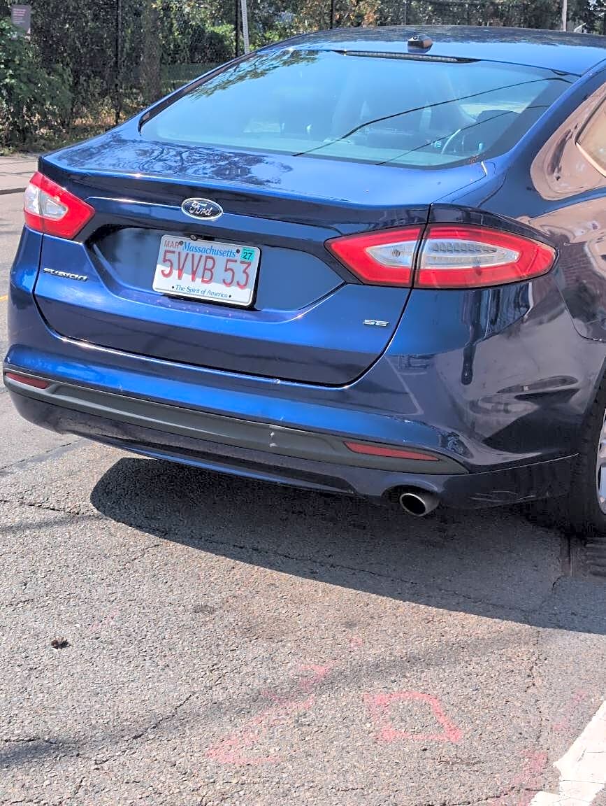 Image submitted with report