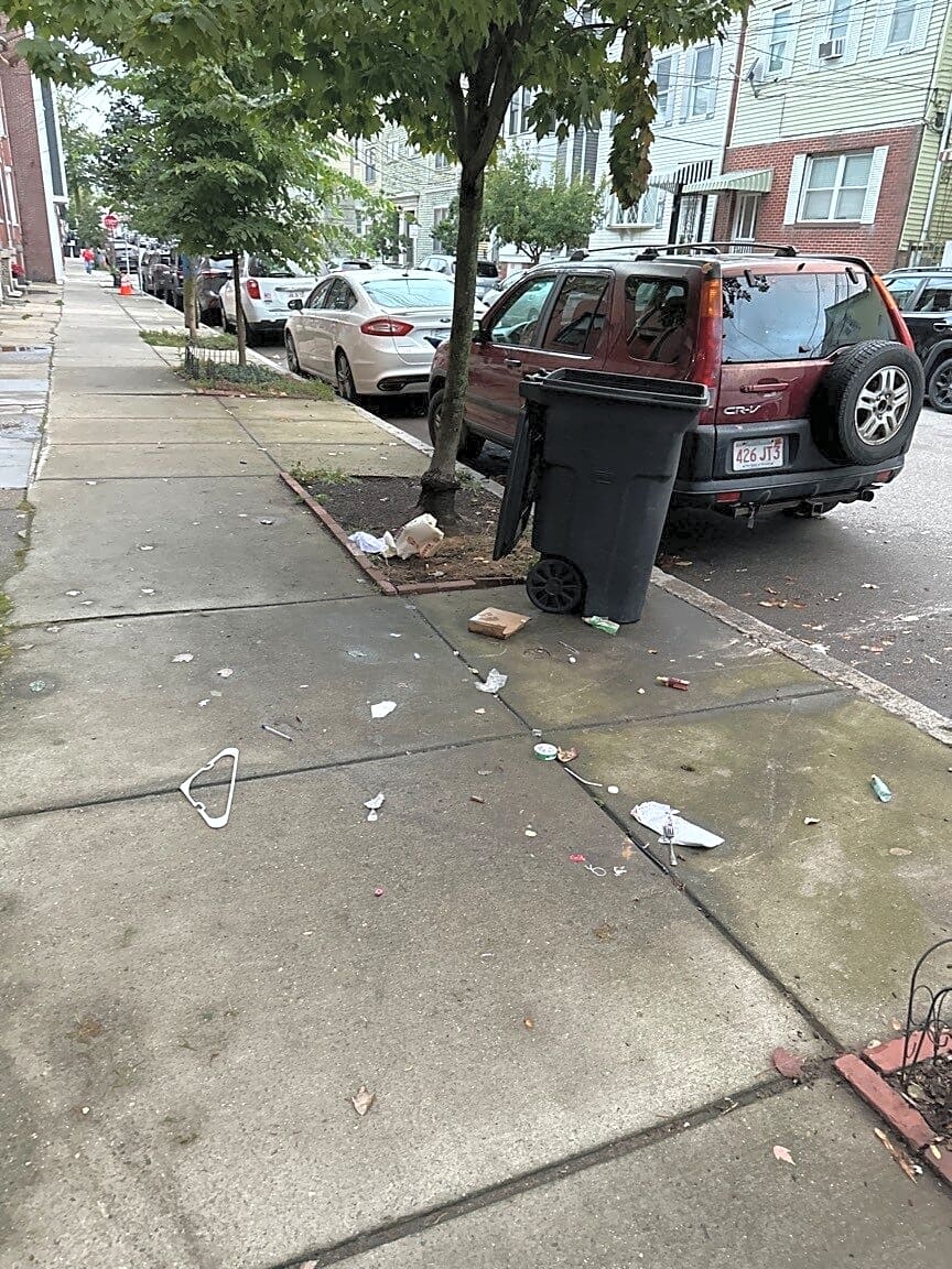 Image submitted with report