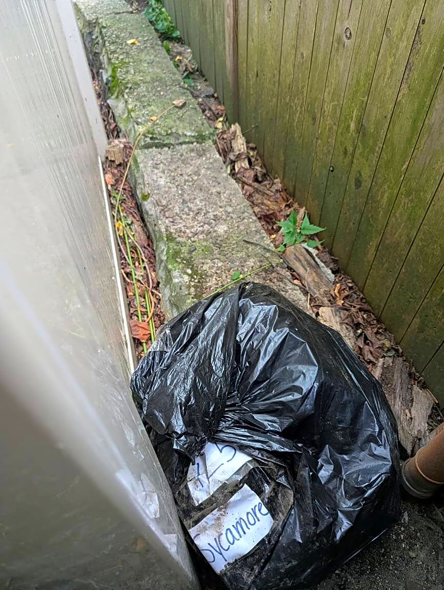 Image submitted with report