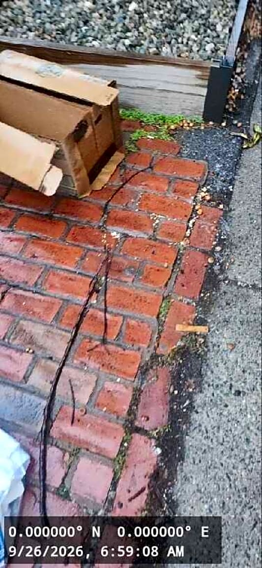 Image submitted with report
