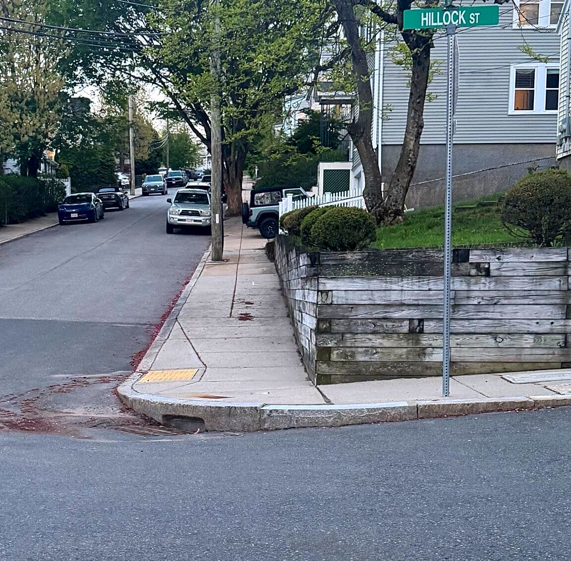 Image submitted with report