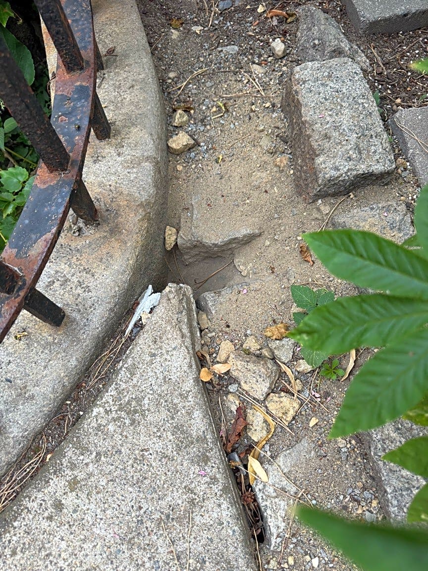 Image submitted with report